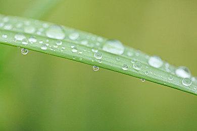 比起言弹论破，这款游戏更想让玩家用棒球棍以理服人